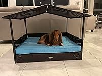 Review Image by Mara J Friedman Mara J Friedman