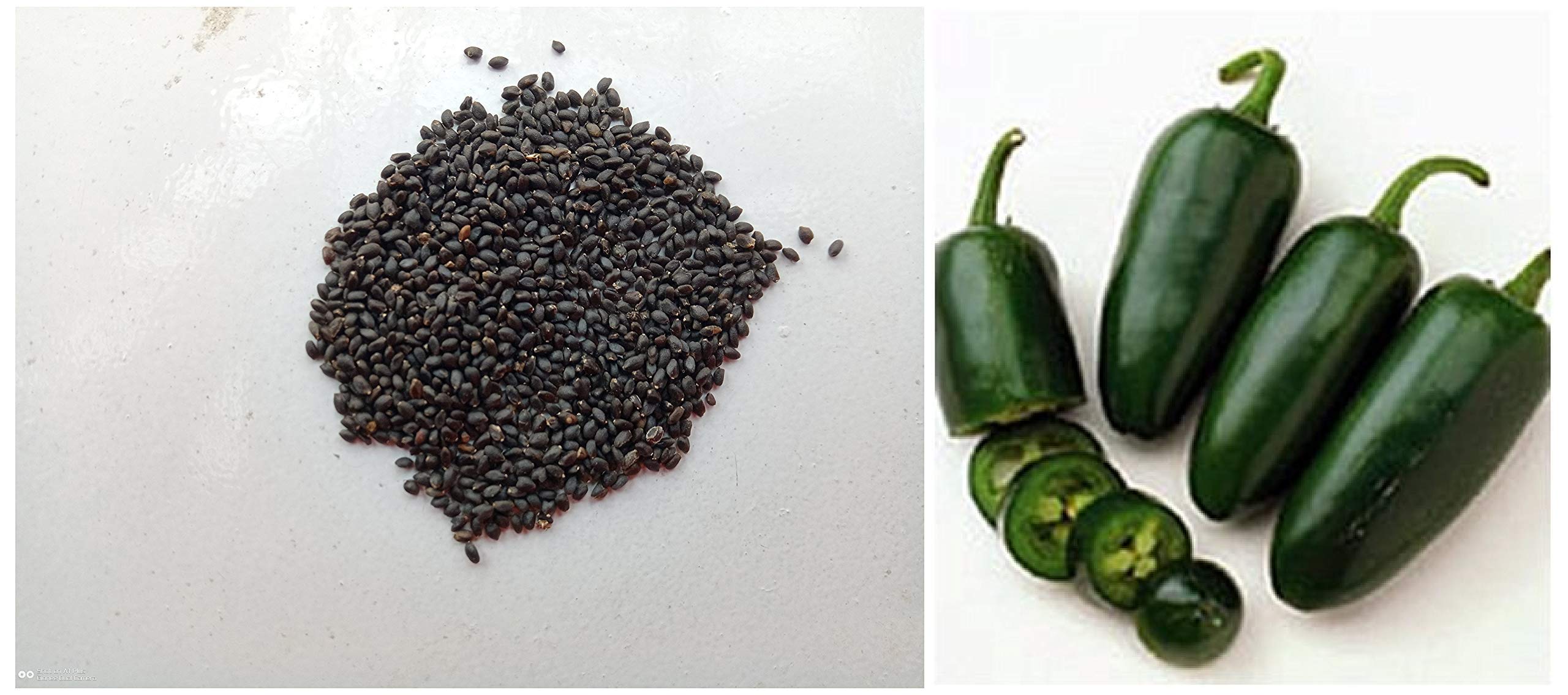 Creative Farmer Sweet Genovese Basil Organic Seeds & Pepper, Chili Jalapeno Pickled Chili Seeds (B086QB4FZM) Amazon Price History, Amazon Price Tracker