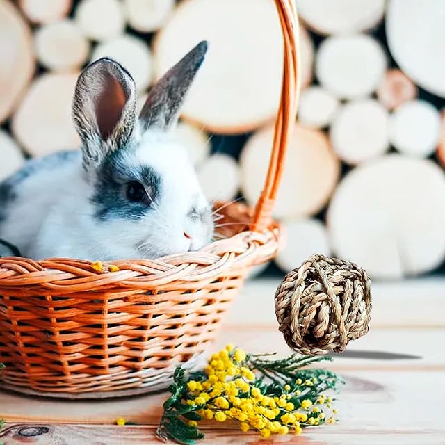 Foto 7 de 7 de Sporgo 15 bolas para masticar: juguete para masticar animales pequeños de 5 cm para cobayas