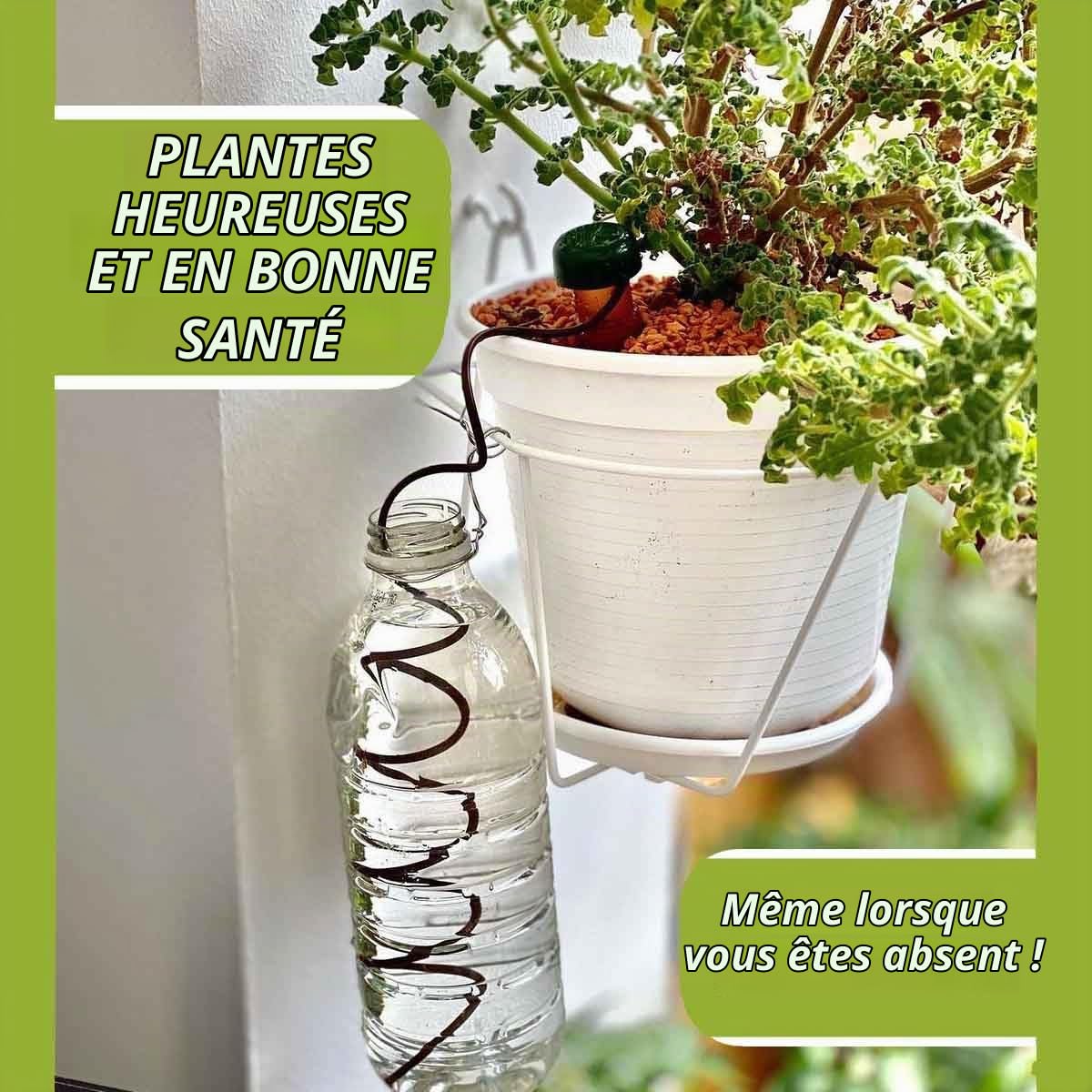 Blumat Classic Piques d'arrosage - Système d'arrosage automatique pour pots - Accessoire pour plantes et arroseur automatique (Lot de 25)