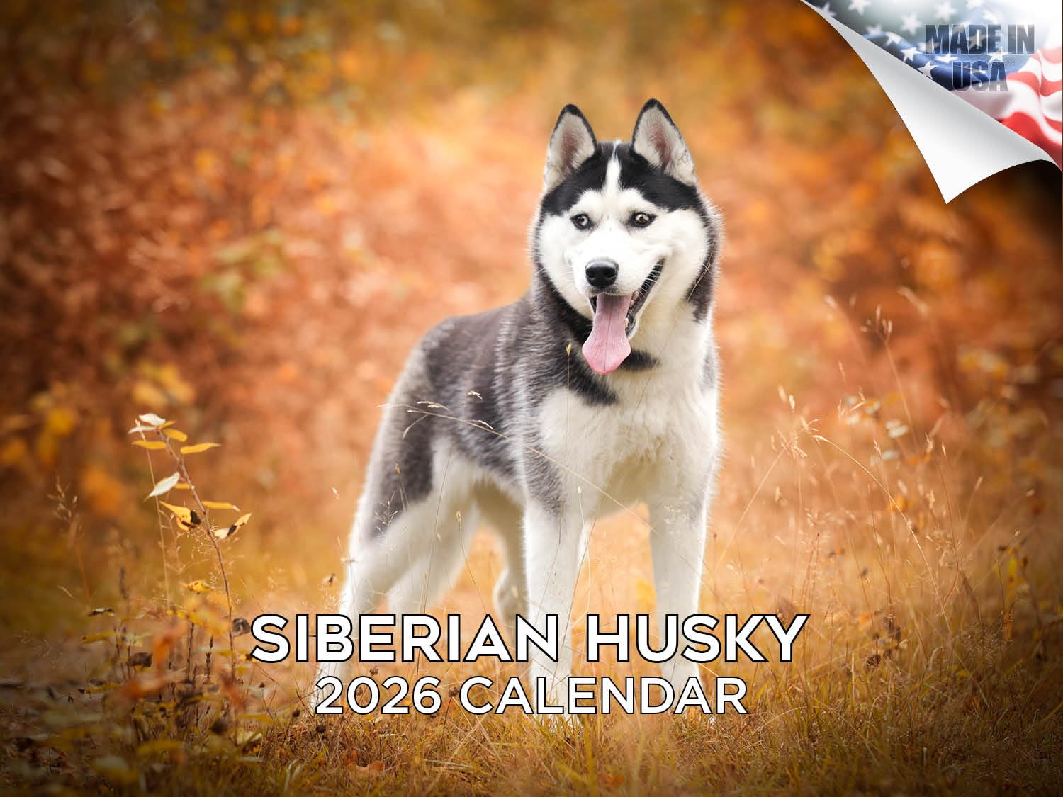 Kalendarz 2024 2025 Husky syberyjski, miesięczny kalendarz ścienny rasy psów, 30 x 45 cm, otwarty, gruby papier bez przebarwień, prezent - akademicki planer nauczyciela kalendarz organizowanie i