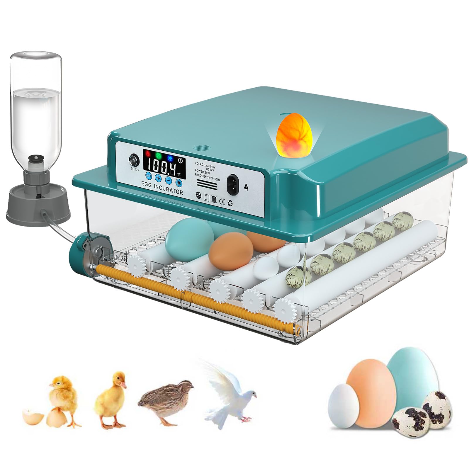 Incubadoras para incubar 16 huevos, incubadora de huevos con giro automático de huevos y llenado de humedad, control de temperatura, incubadora con rodillos ajustables para pollos, patos