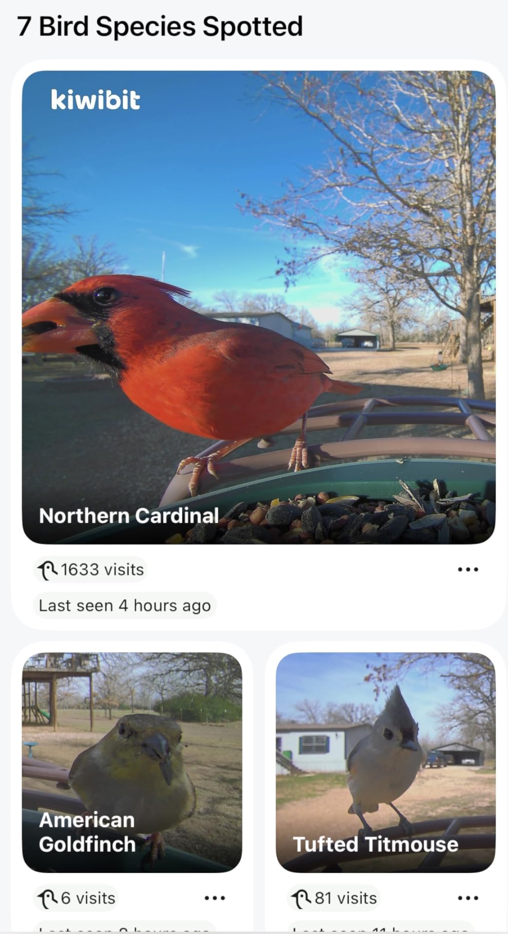 Smart Bird Feeder with 4K AI Camera Solar Powered, 8MP Photos photo review