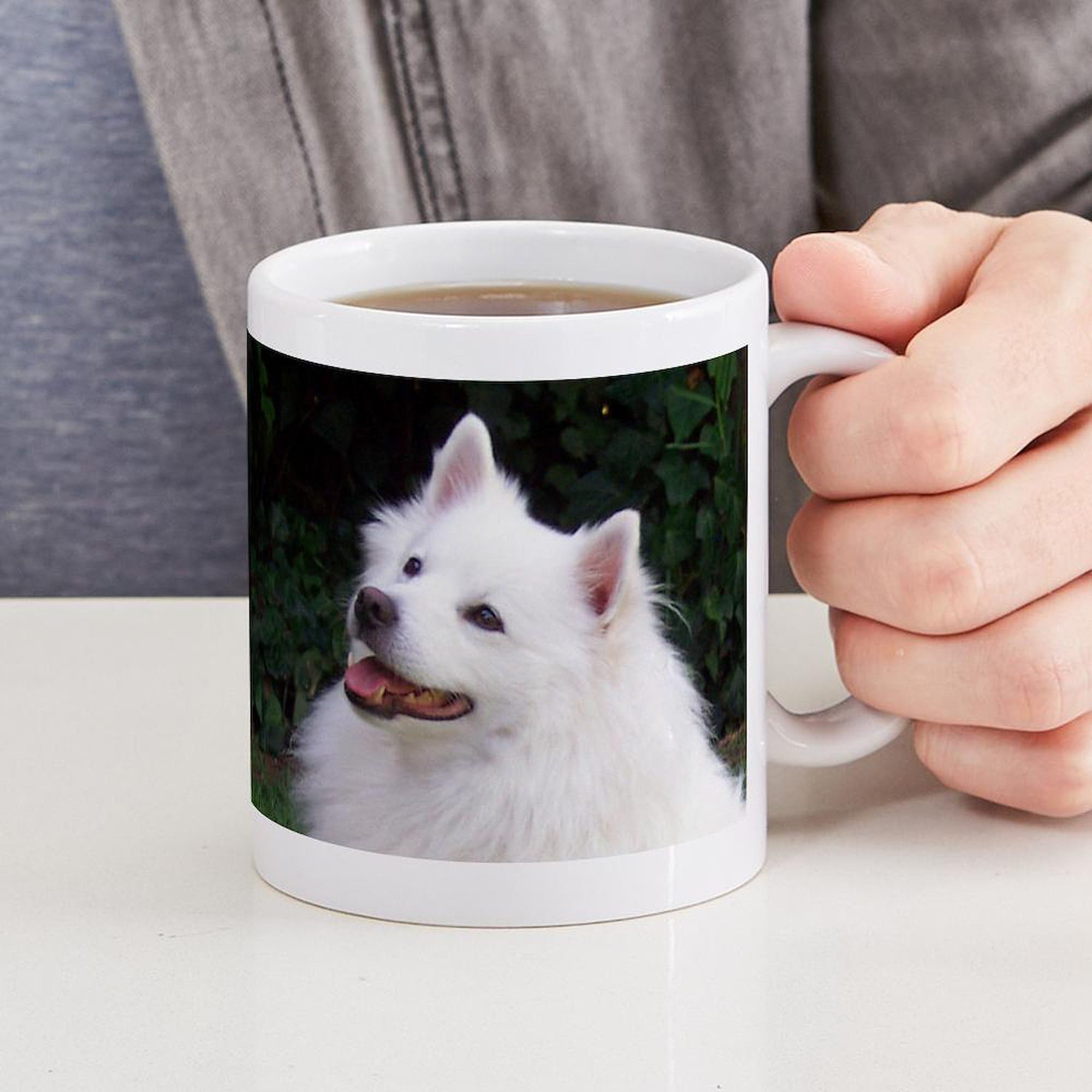 Amazon.com | CafePress American Eskimo Mugs 11 oz (325 ml) Ceramic Coffee  Mug: Coffee Cups & Mugs