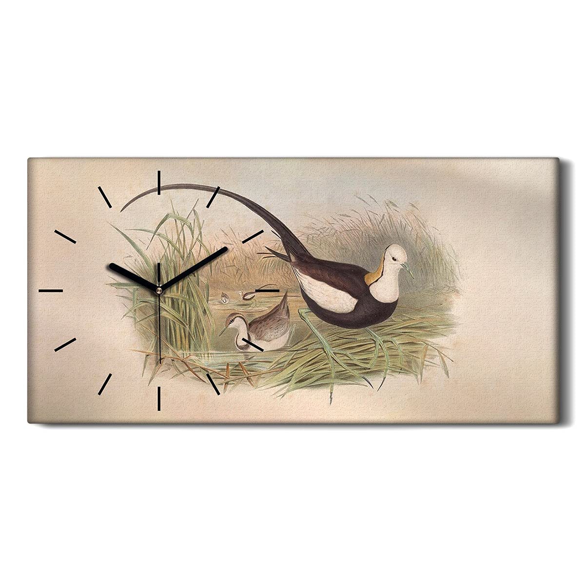 Horloge sur toile décoration image salon chambre art mural oiseaux 60x30cm
