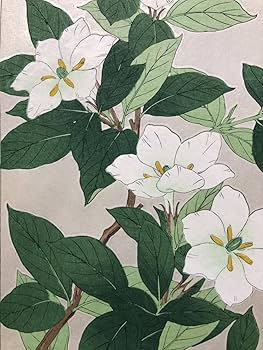 Amazon.co.jp: 木版画 河原崎奨堂くちなし芸艸堂版 大判 彫長島