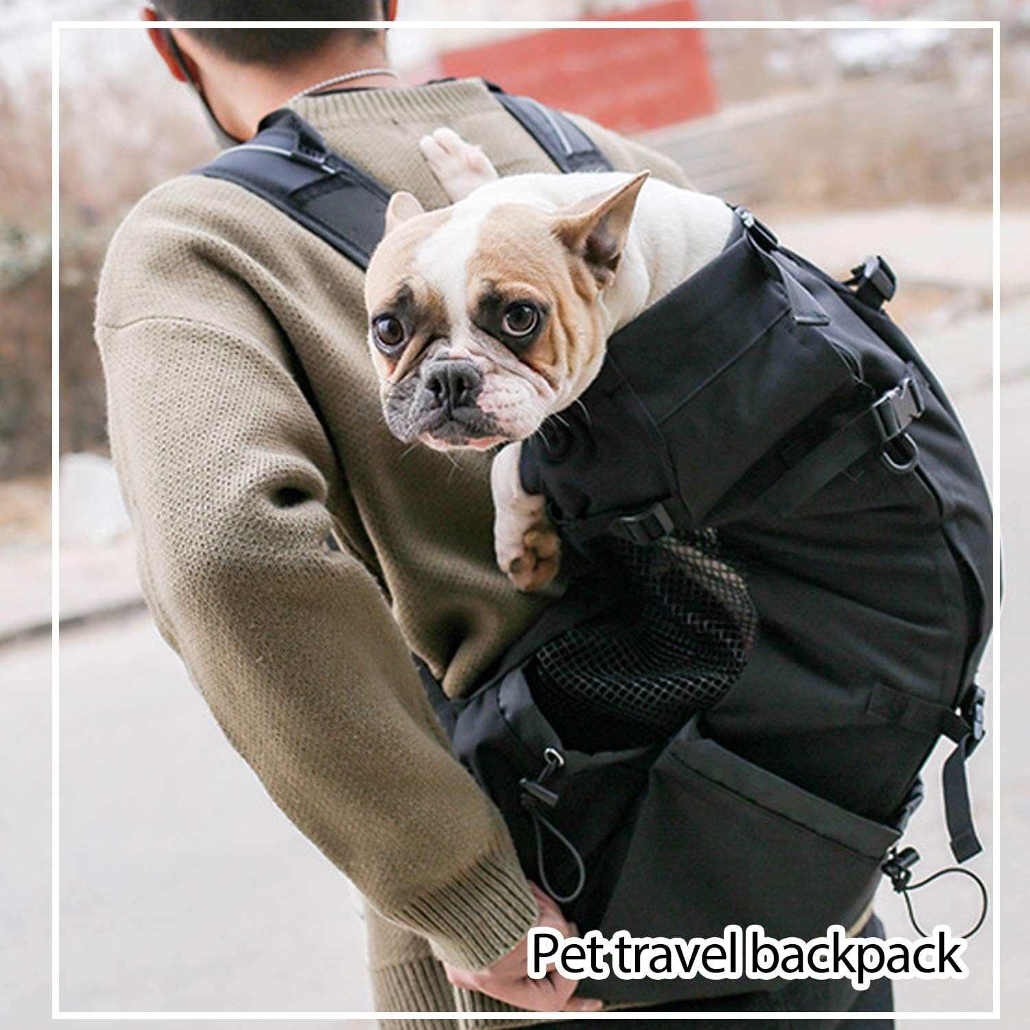PETCUTE Dog Cat Carrier Backpack dog travel bag backpack for Puppy cat Breathable pet carrier bag with Adjustable bag mouth waterproof backpack for pet Up to 5KG - Image 3