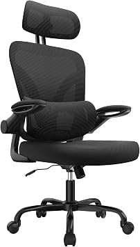 naspaluro Ergonomic Office Chair - Desk Chair with Dual Backrest Design, Adjustable Lumbar Support, Computer Chair with Flip-Up Armrests, 3D Headrest for Home Office - Black