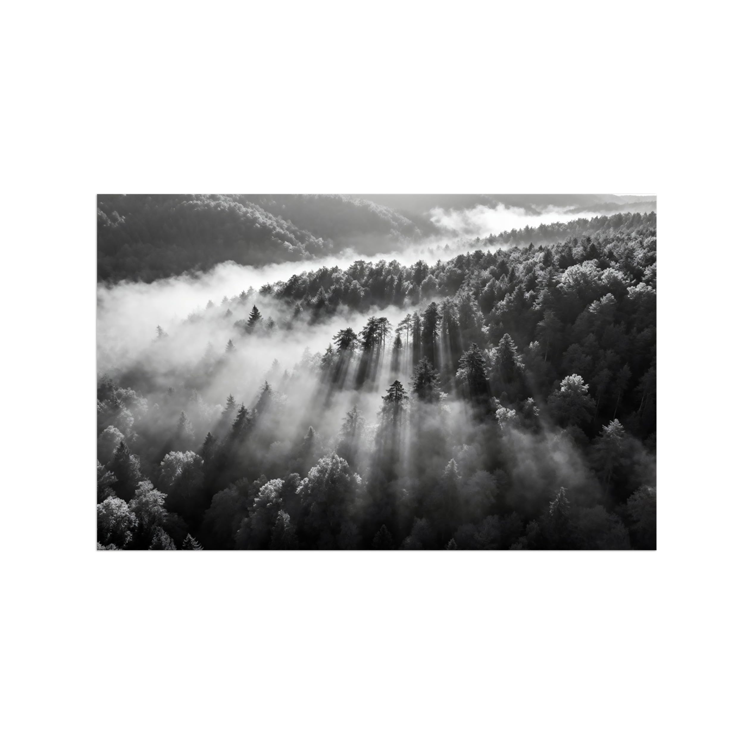OZPWBVY Black and White Landscape Print Painting-Forest Clouds 3-Minimalist Canvas Wall Art Picture for Home Decor 16x26in 40x65cm Unframed