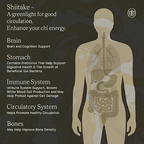 Miniatura 4 de UPHORIC URTH Tintura de extracto de hongos (Shiitake)