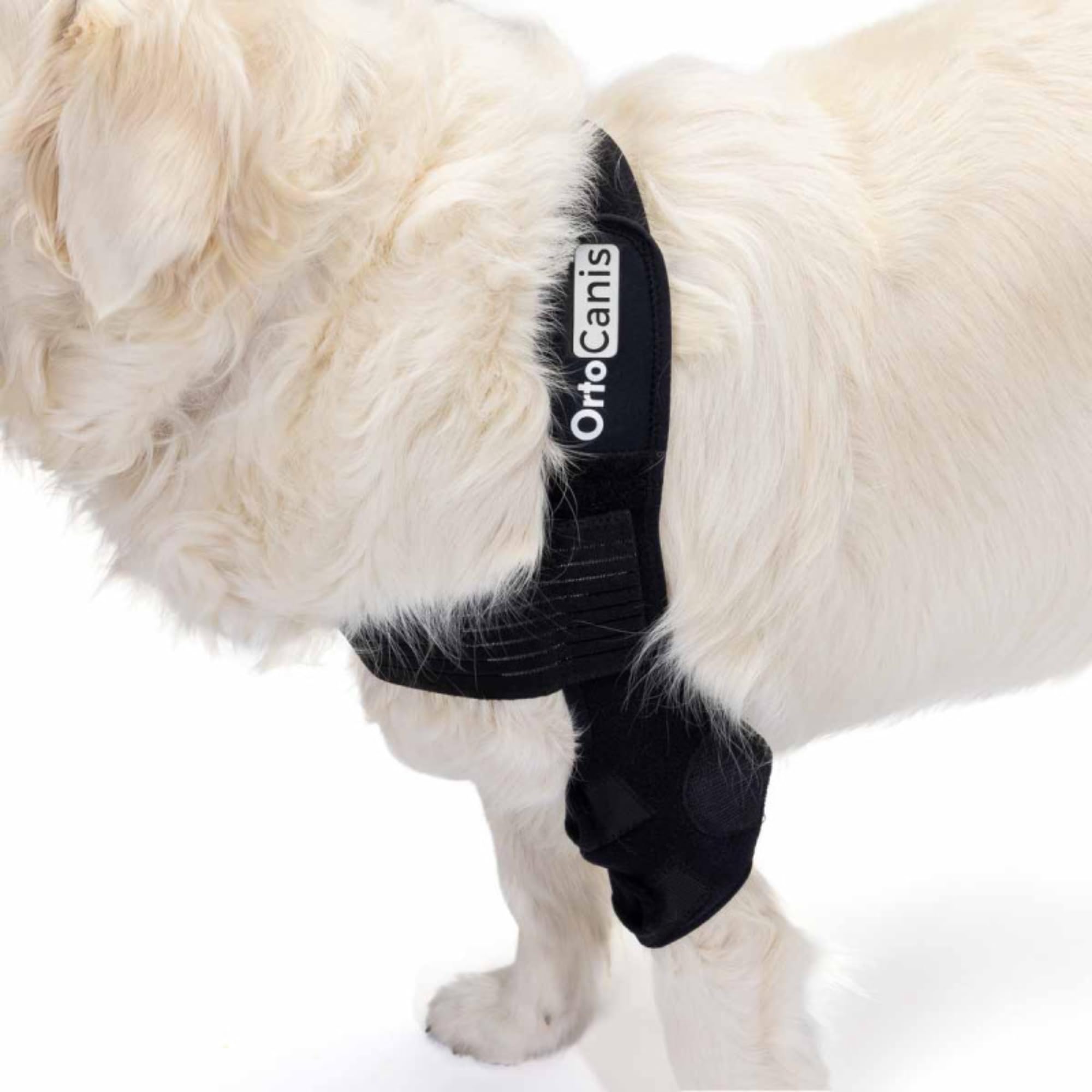 Ortocanis - Ortesis de Codo para Perros con Artritis de Codo, Higromas o Dislocación de Hombro, Talla M