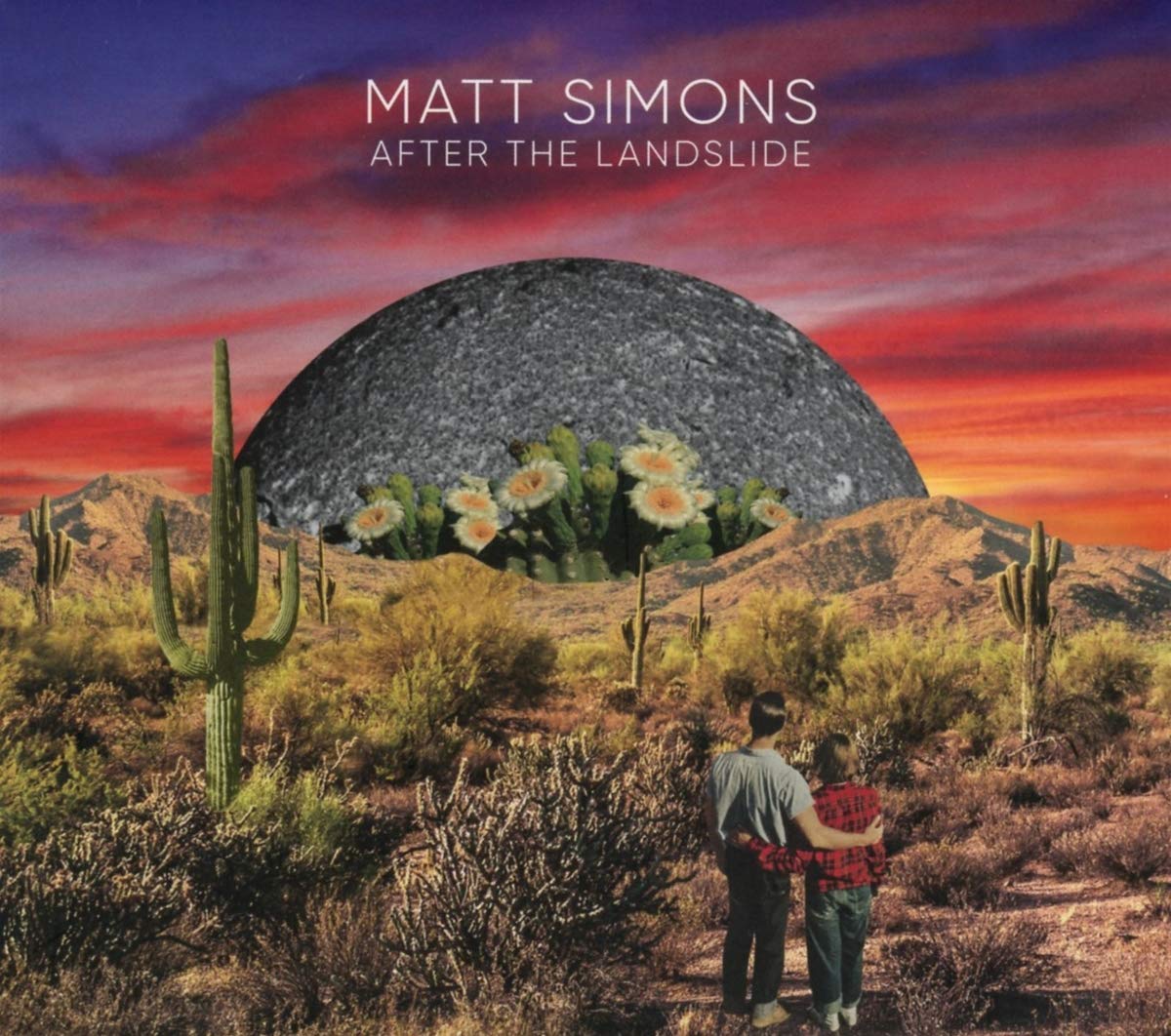After the Landslide by Matt Simons (CD, 2019)