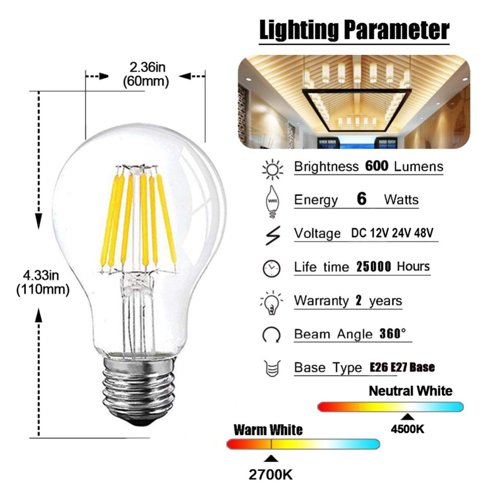 Żarówka LED A19 niskonapięciowa 12V/24V, 6W, Edison Globe, światło dzienne 4500K, ciepła biel 2700K, E26/E27 (kolor: 4500K, rozmiar: DC 12 V)