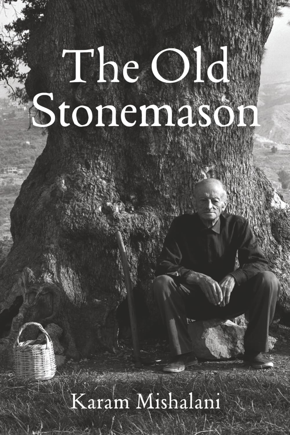 The Old Stonemason: A coming of age story. A journey from Lebanon to America.