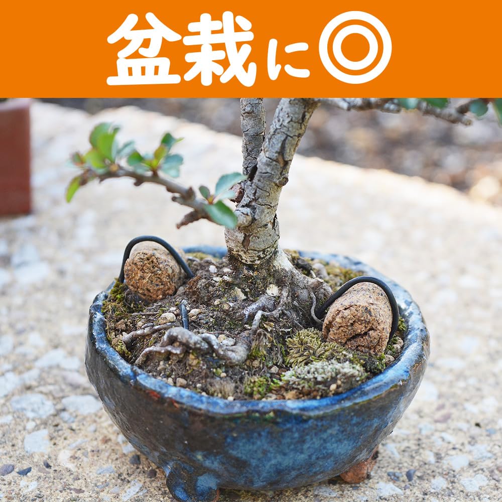 Concime Bonsai Hanagokoro Giapponese - NPK 4-5-2 Granulare 500g - Foto 3