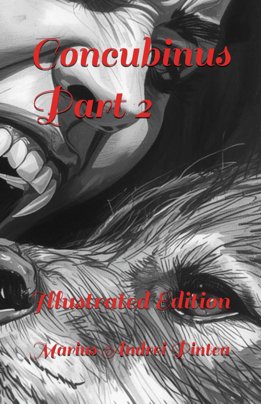 Concubinus Part 2: Illustrated Edition