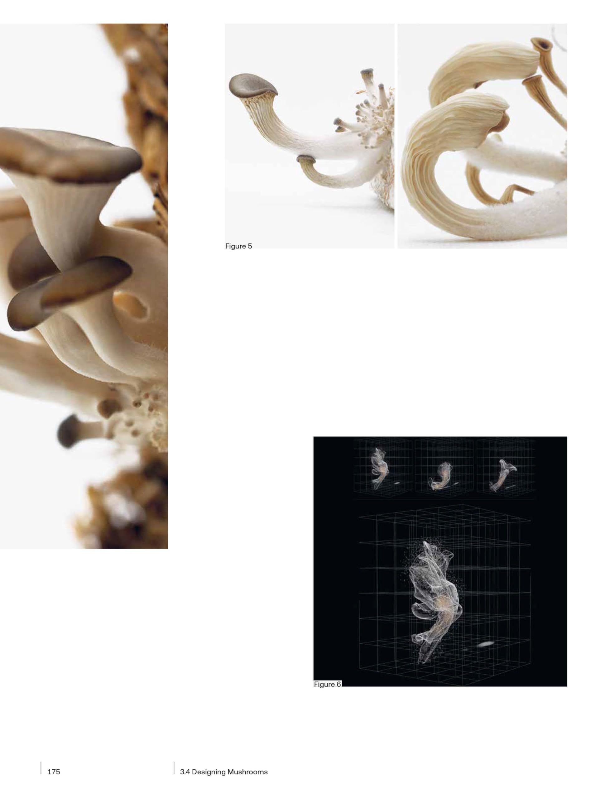 BioProtopia: Designing the Built Environment with Living Organisms