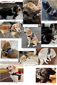 MURRAL タグ付き　ハーネス MURRAL タグ付き ハーネス 楽天市場】犬 ハーネス 名前（カラー