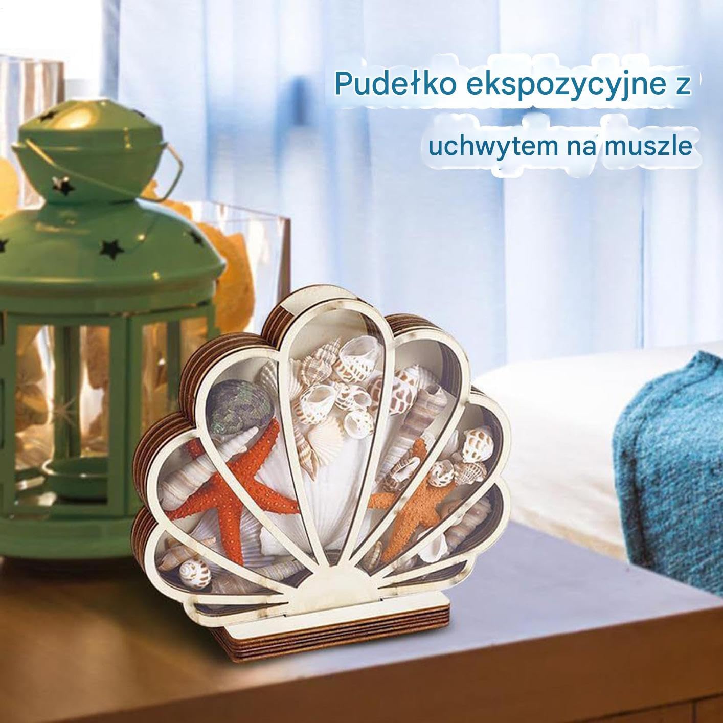 Pudełko Ekspozycyjne Na Muszle,Pojemnik Na Muszelki Do Ekspozycji | Dekoracyjne Pudełko Pamiątkowe Szkło Agaty Rozgwiazdy Biżuteria Dekoracje Domowe W Stylu Nadmorskim