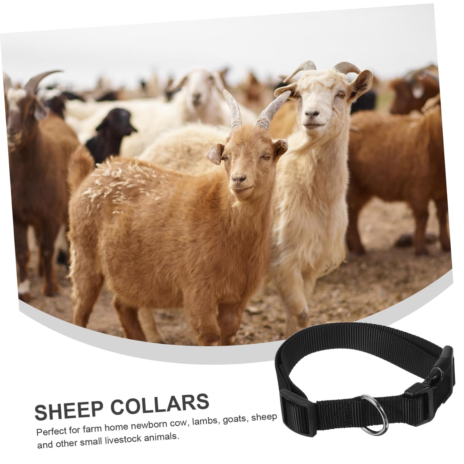 Toddmomy 10pcs Adjustable Sheep and Goat Collars Non- Livestock Supplies for Cattle Horses and Goats Comfortable Fit for Newborns and Animals