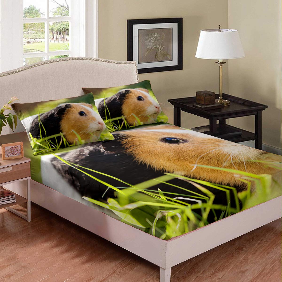 Tbrand Guinea Pig Fitted Sheet Pillow Sham Set Funny Animal for Kids Boys  Girls Teens Children Lovely Pet Lying In Grass Brown Guinea Pig