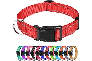 Reflective Nylon Dog Collar in Red for Medium Breeds