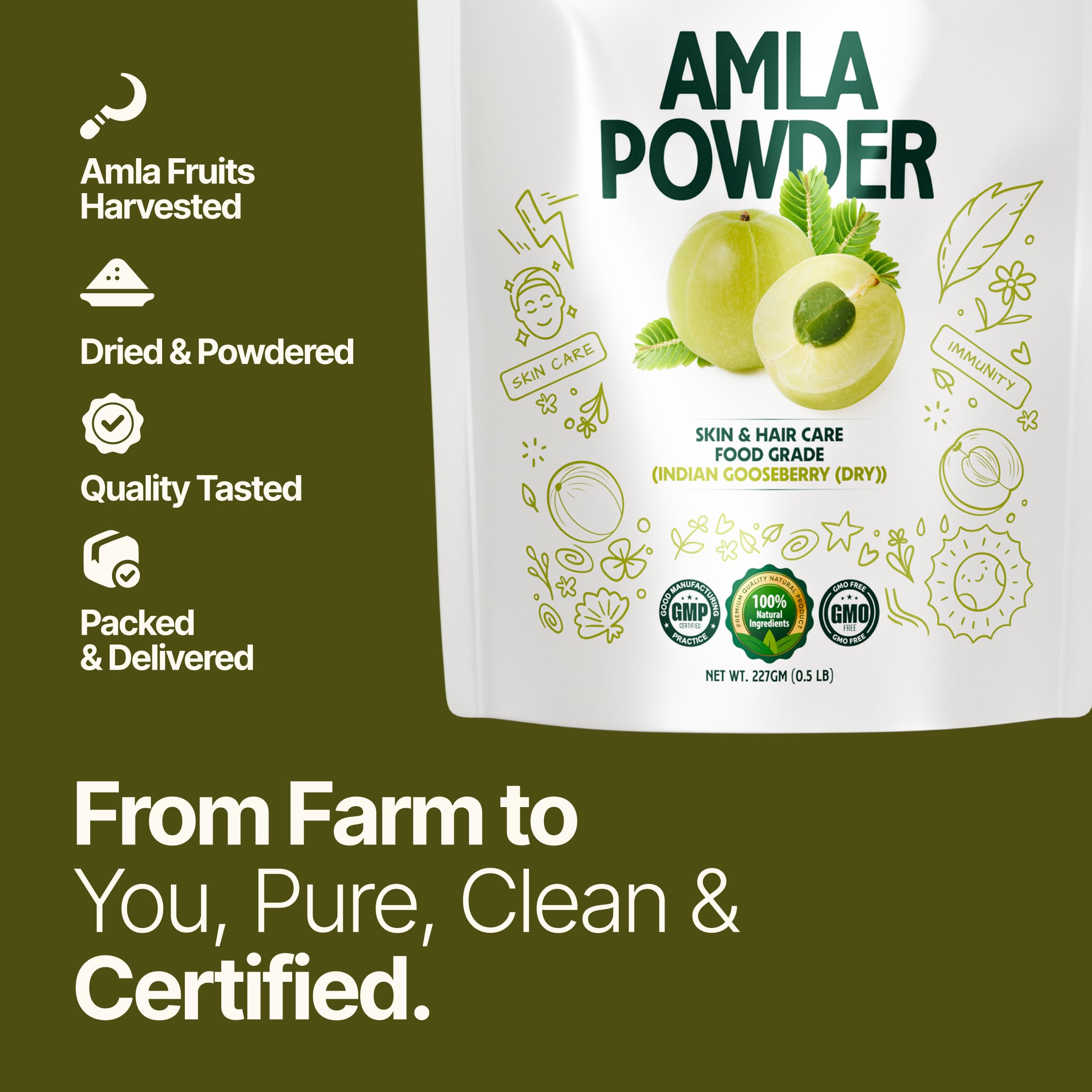 MYHERB 100% Natural Organic Amla Indian Gooseberry Powder (Dry), For Skin & Hair Care Food Grade, For Men & Women (227 Gm/0.5 Lbs) 2