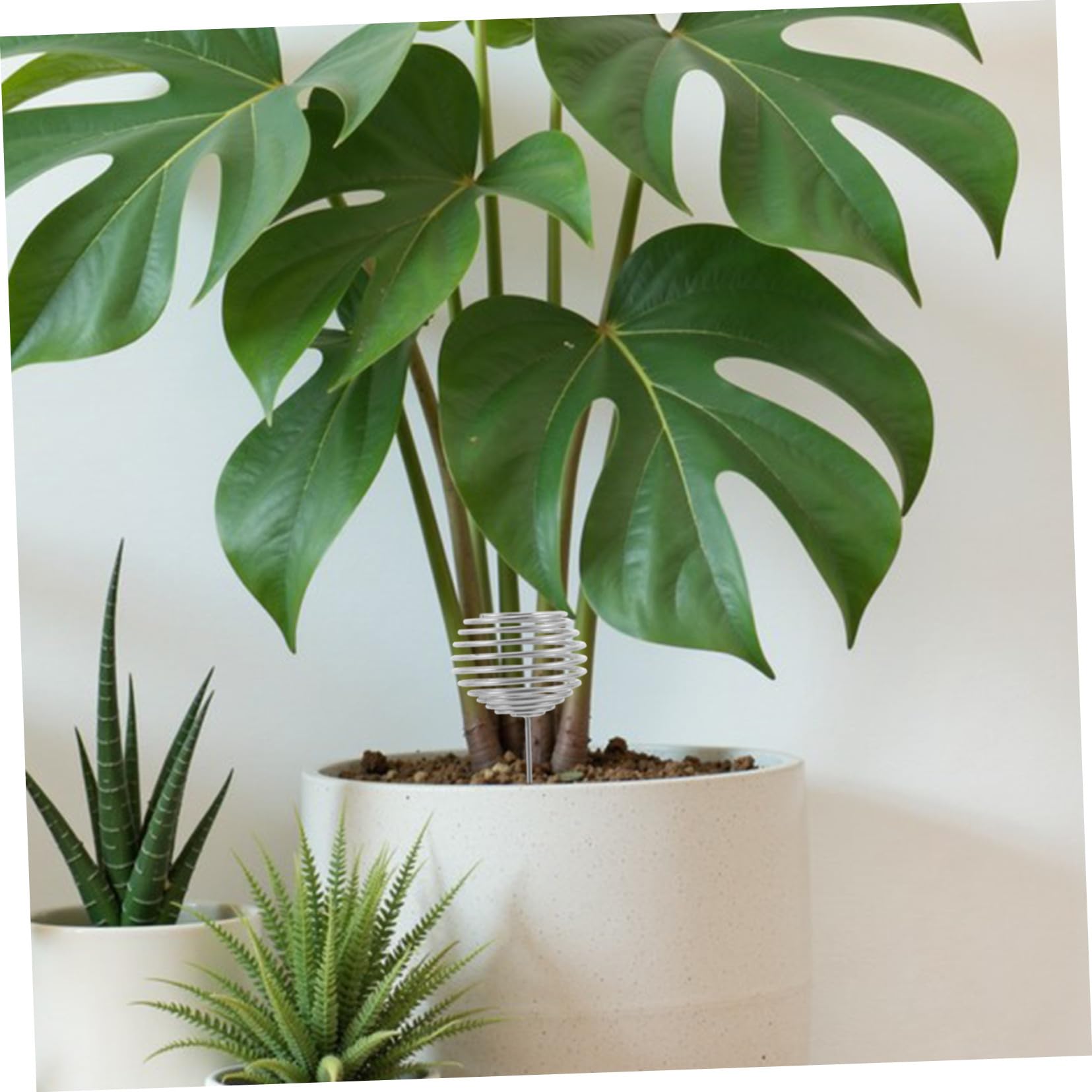 BESTonZON 50stücke Düngekorb Aus Edelstahl Für Garten Und Nährstoffbecher Für Bonsai Und Orchideen Düngerkorbbehälter Für Pflanzen Kontrollierte Nährstoffabgabe Sauberes Und