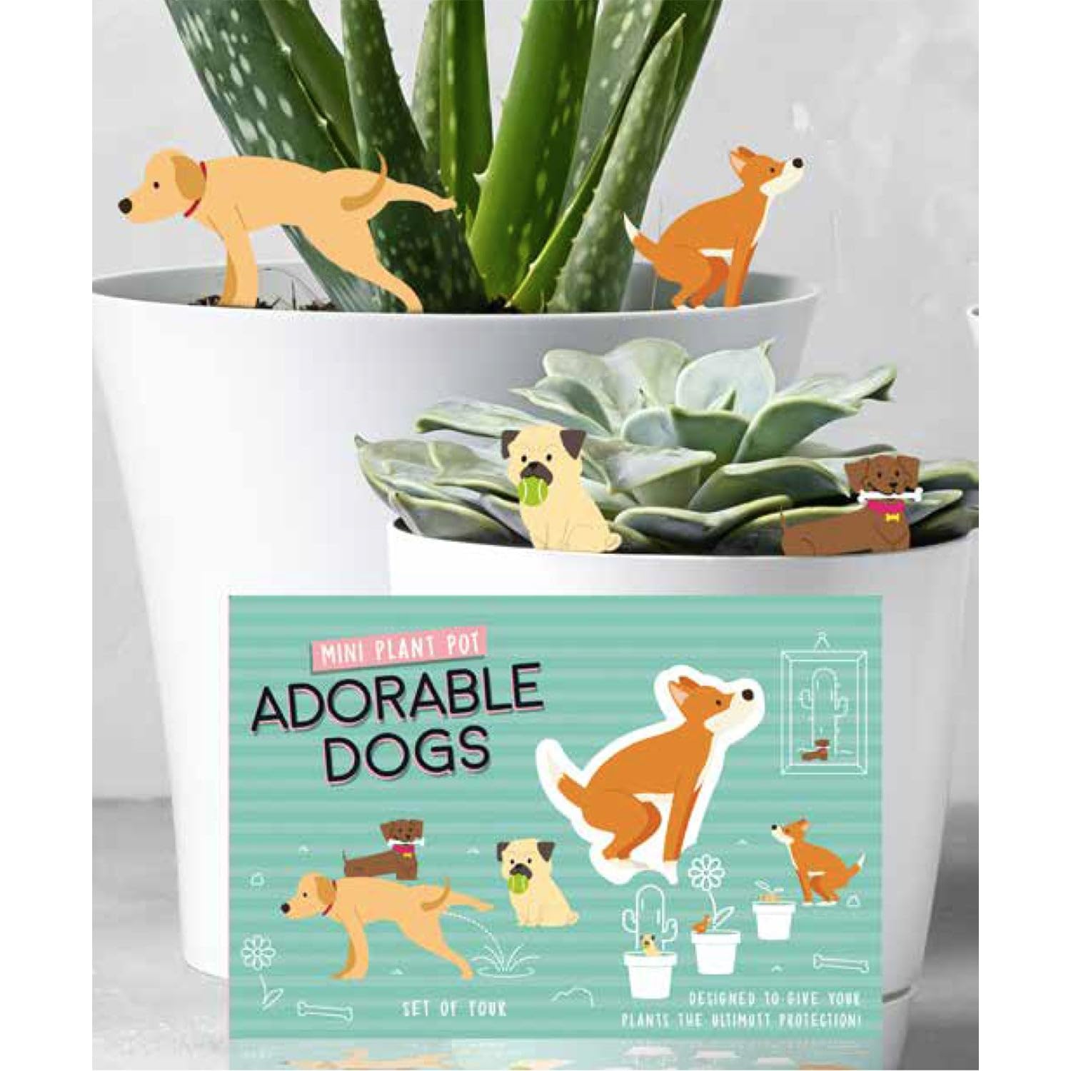 Novelty Plant Pot Markers Planter Funny Decor Garden Ornament Set of 4 Pets Dogs