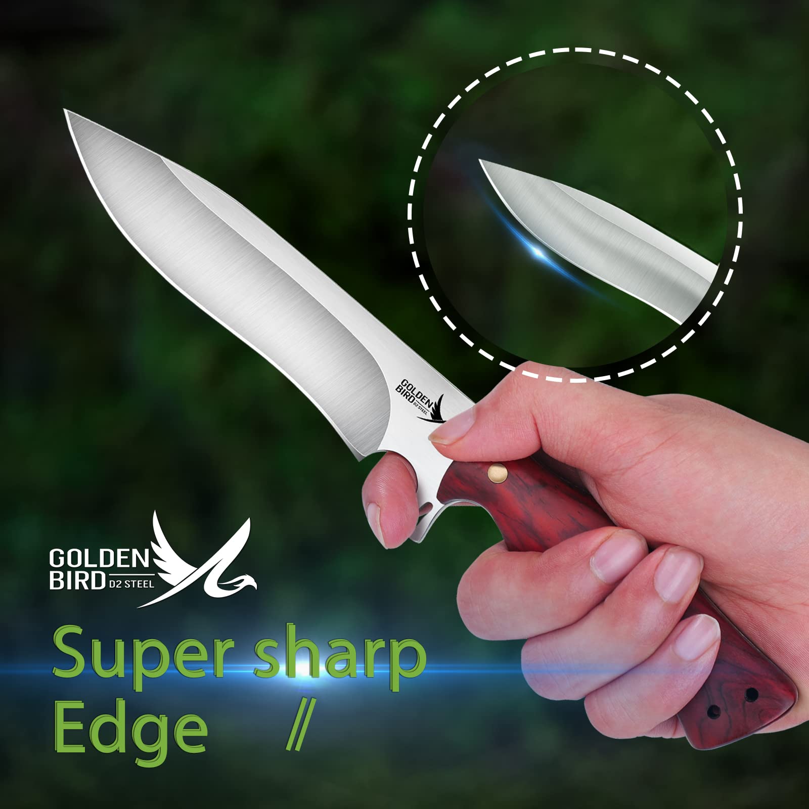 Golden Bird Cuchillo de Caza Cuchillo Bushcraft con Funda | Hoja de Acero D2 Cuchillo de Supervivencia de Hoja Fija Cuchillo Bowie con Mango de Palisandro
