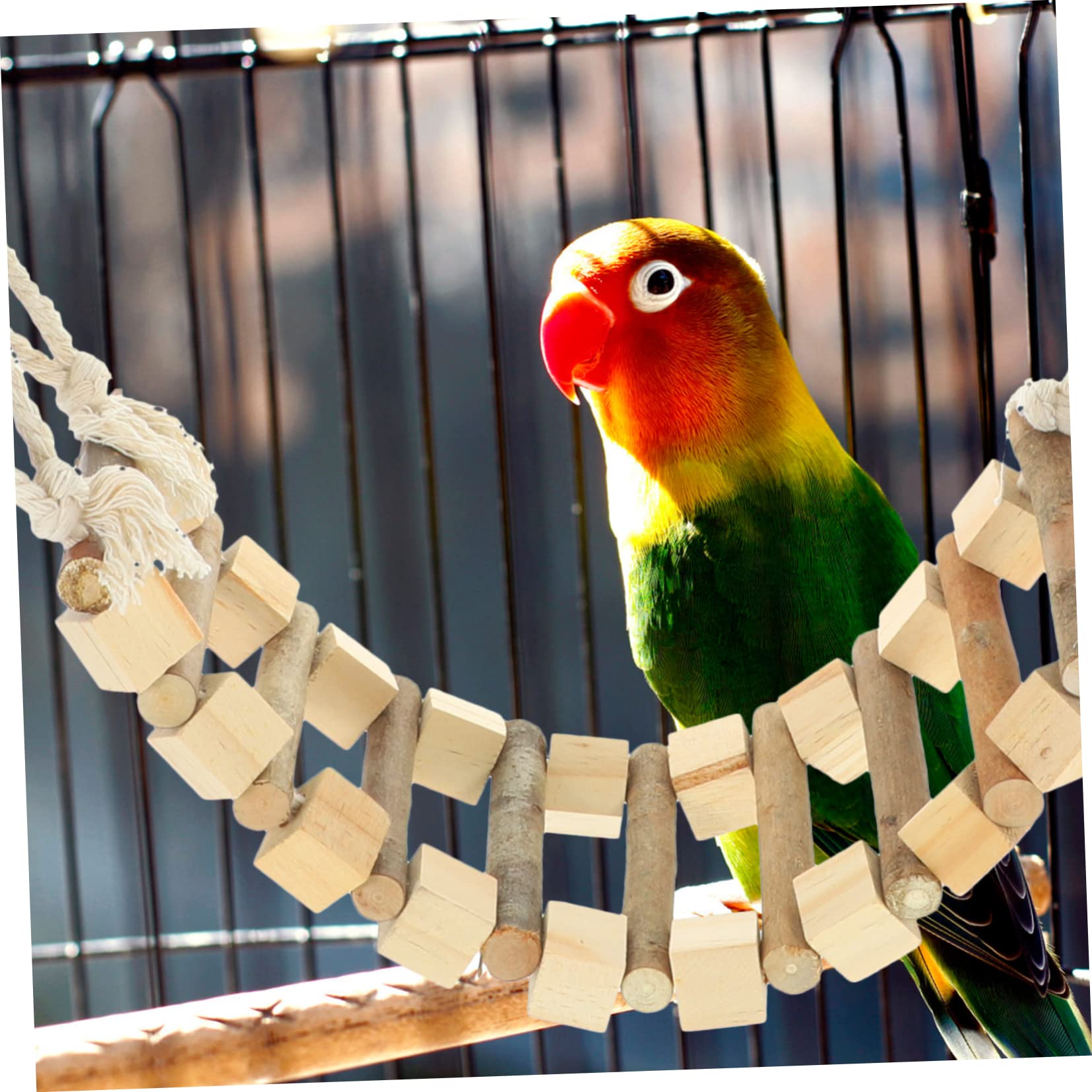 Casa Colgante para Pájaros Nido De Pájaro con Escalera Hecho De Cáscara Natural Tamaño Pequeño para Jaula De Cría Aves Mascotas Periquitos