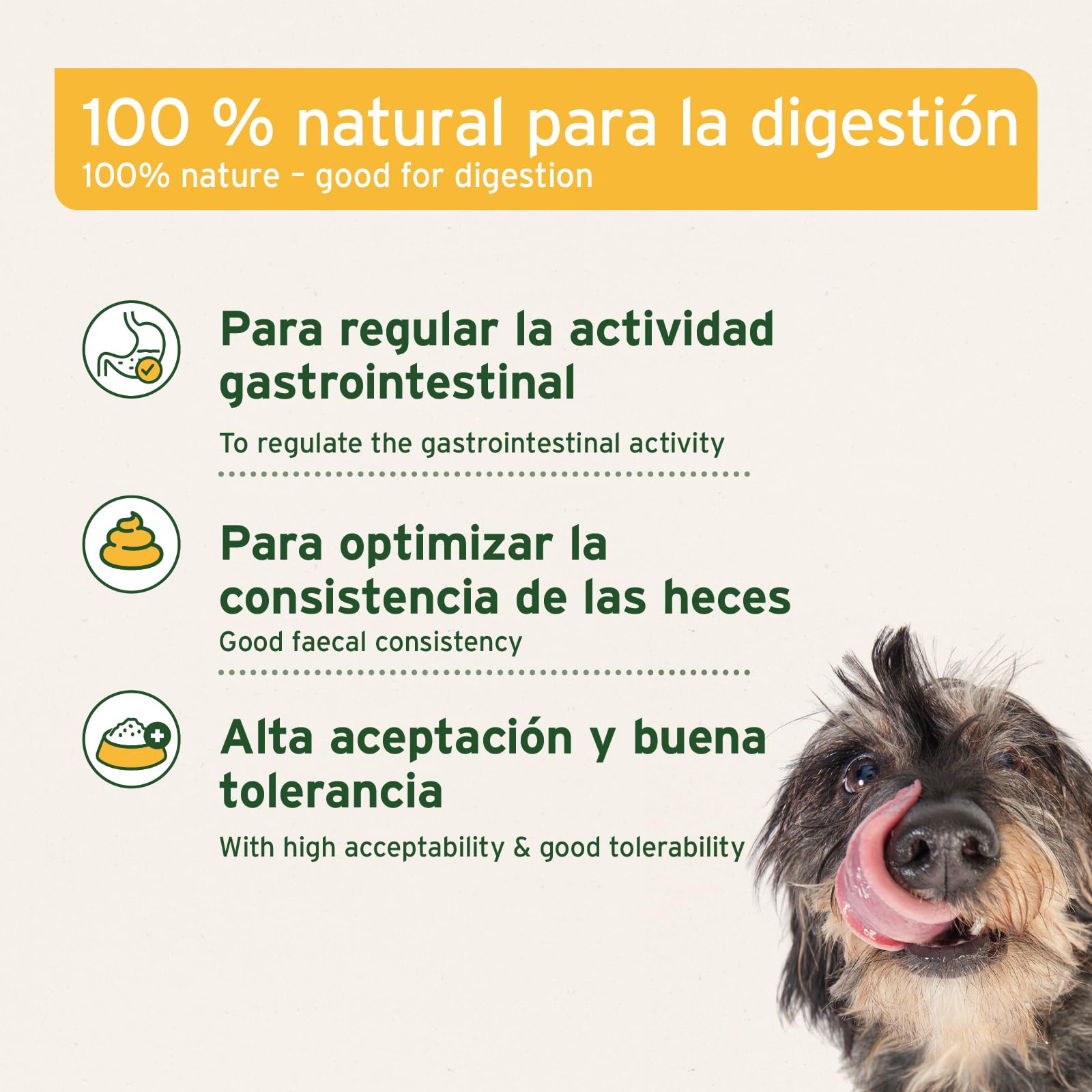 AniForte Moor Mud Curativo para Perros 1200g – Mejora la digestión, el Sistema inmunológico, la Actividad gastrointestinal, estimula el apetito. Arcilla curativa Natural