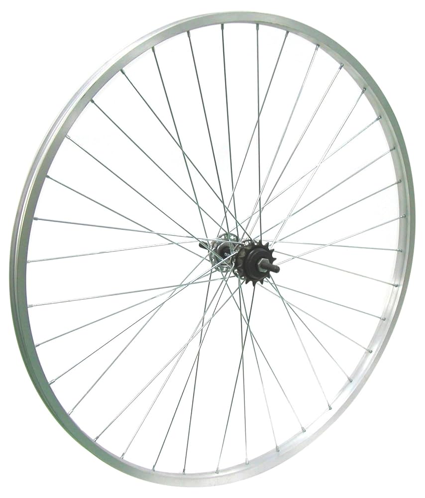 自転車　20インチ　リアホイール Amazon | アサヒサイクル アサヒサイクル アルミ20インチ リア