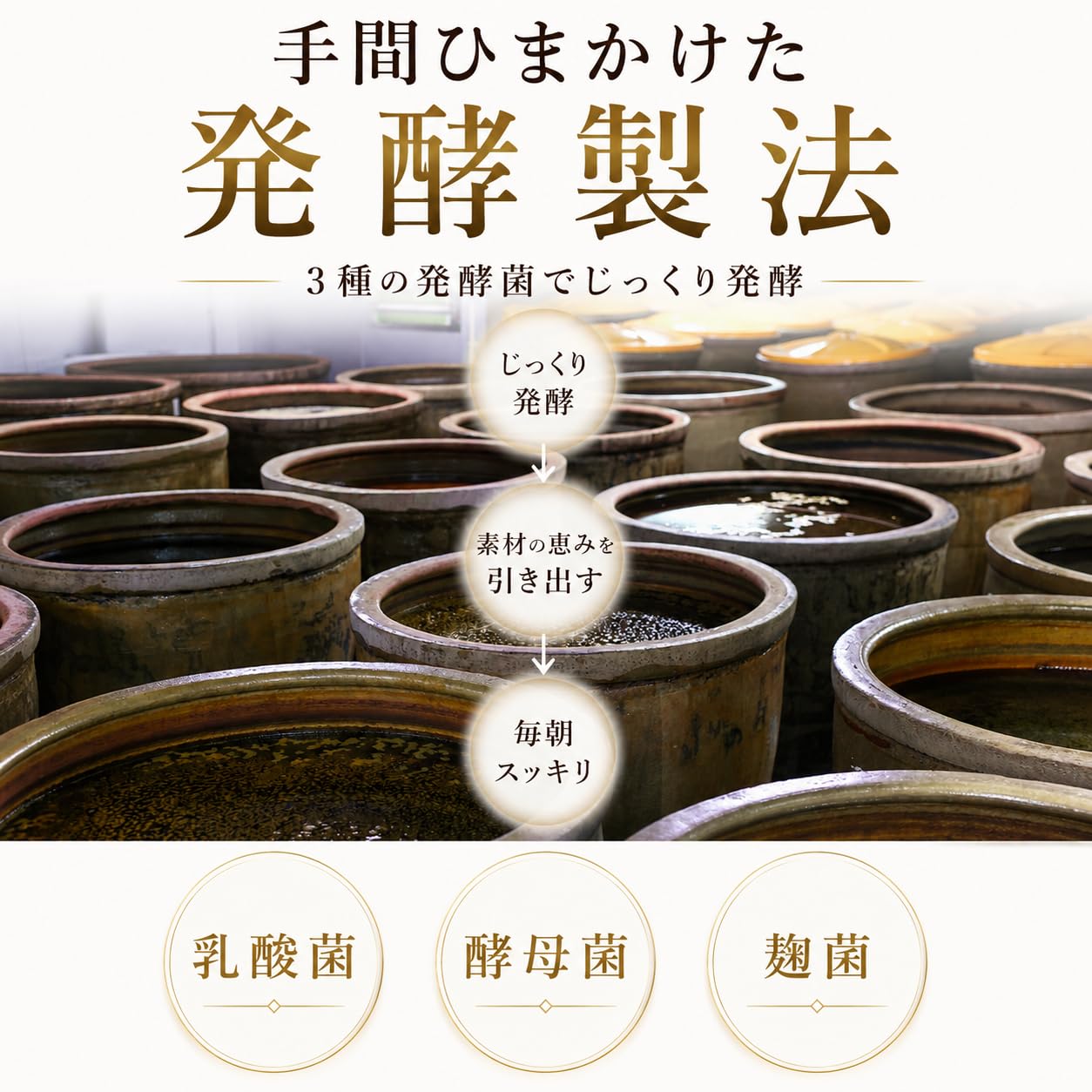 Amazon.co.jp: 【 ごくごく飲める 野草酵素 】 朝快酵素 野草 乳酸菌 
