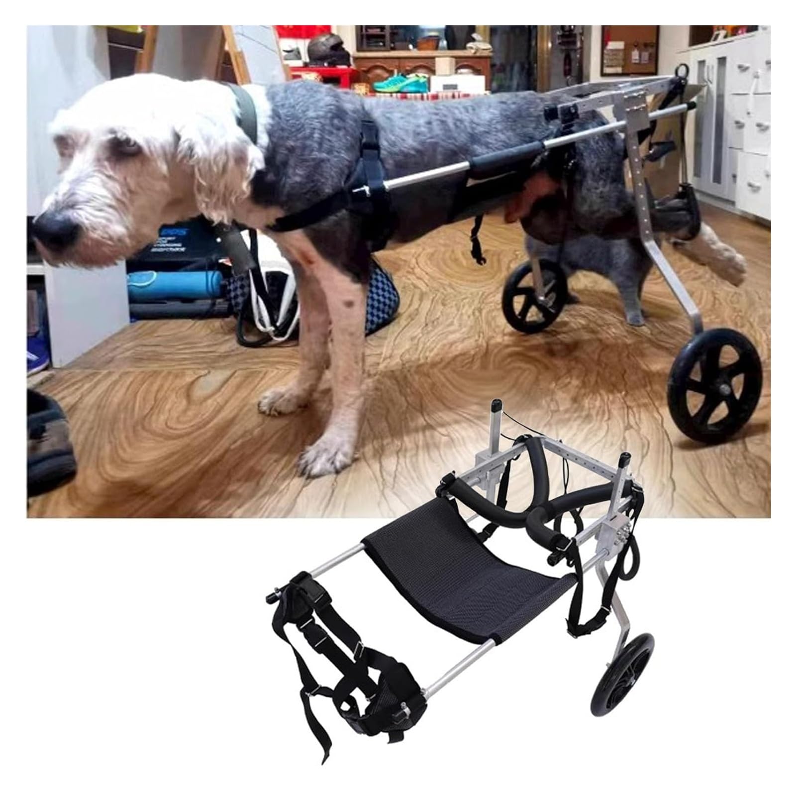 Silla de ruedas para perros medianos con asistencia para ejercicio y soporte de patas