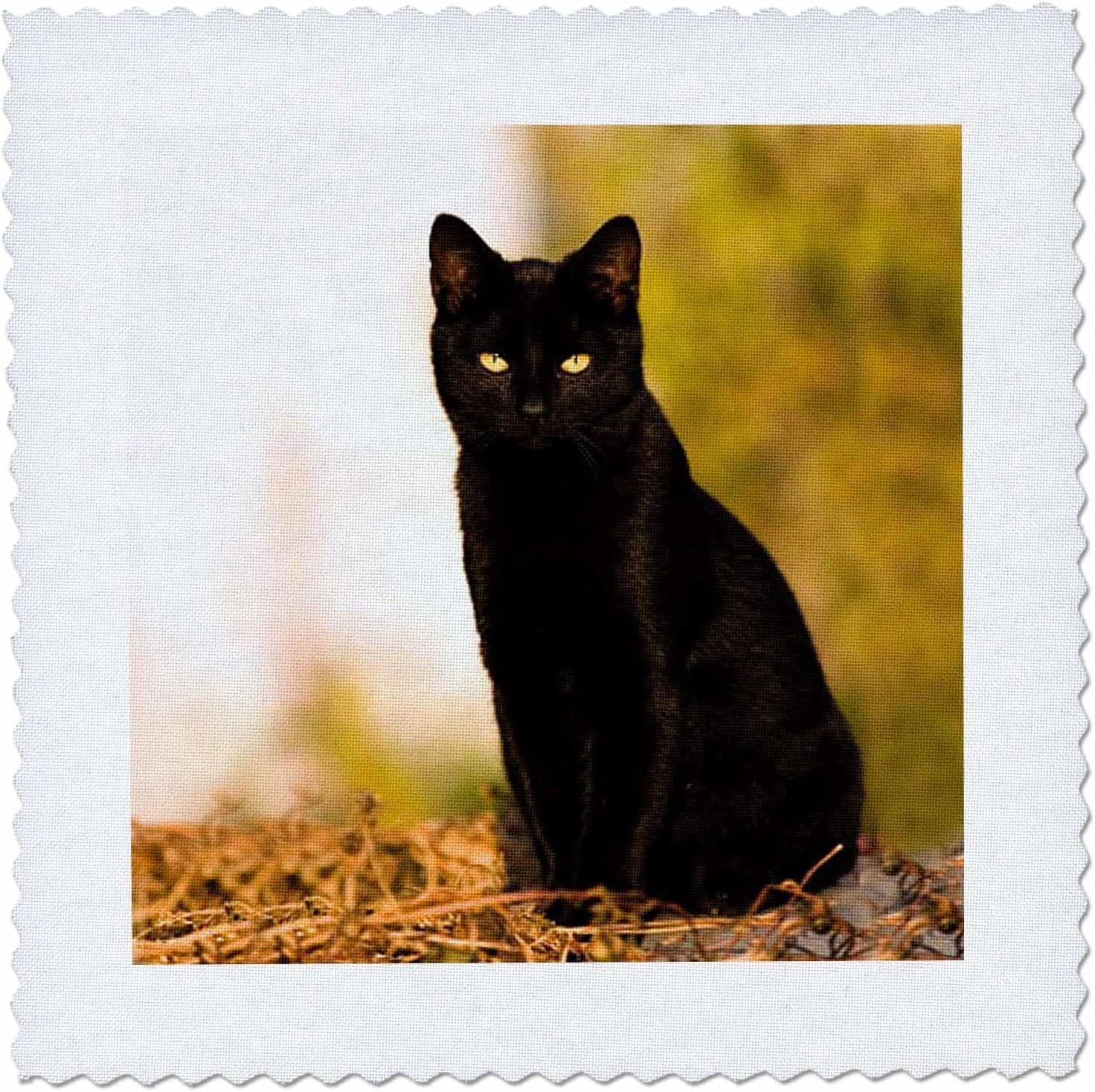 3dRose qs_3163_9 Black Cat Quilt Square, 22 by 22-Inch
