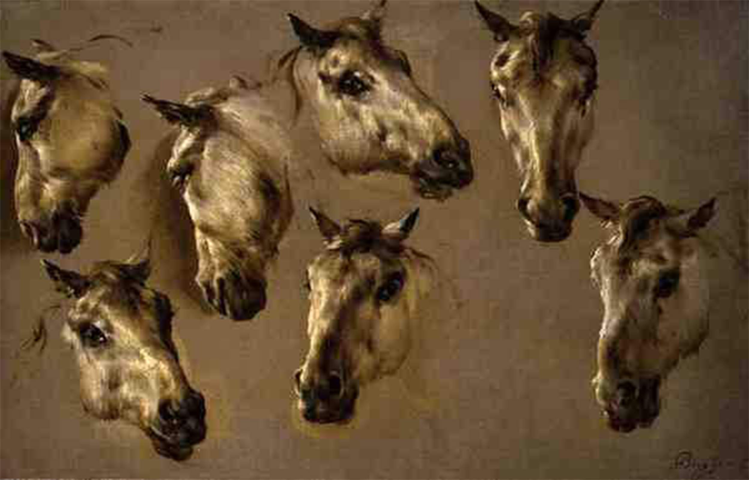 POSTERIIk Famous Print Pop Art Wall Art Graffiti Sketches of Horses Heads by Nicolaes Pietersz Berchem Art Prints for Home Decor 60x90cm