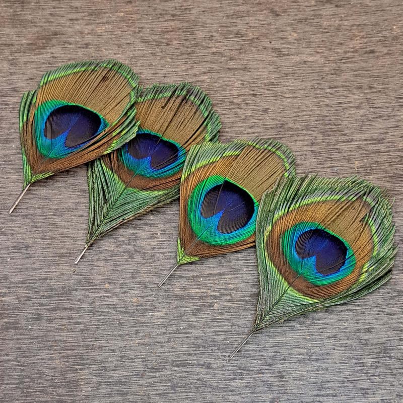 meryCraft Natural Size-8 CM Peacock Feather | Mor Pankh | Real Peacock | Feather for Home Decor | Good Luck Art and Craft & Worship | Pack of 6 (B0CWCVYY2P) Amazon Price History, Amazon Price Tracker