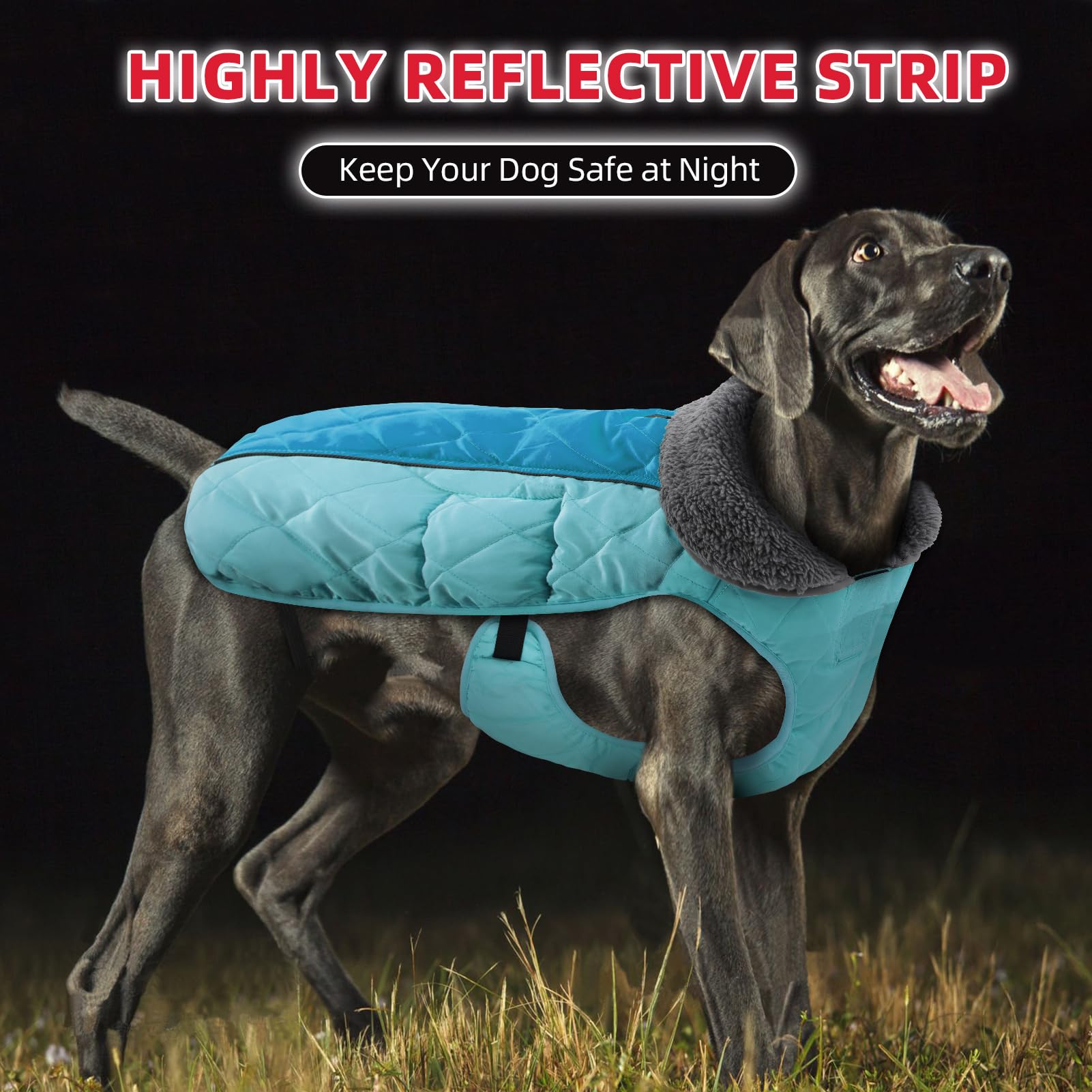 Doglay Chaqueta para perro, abrigo de invierno impermeable con cuello peludo grueso, forro reflectante, forro polar cálido, abrigo de nieve para perros pequeños a grandes