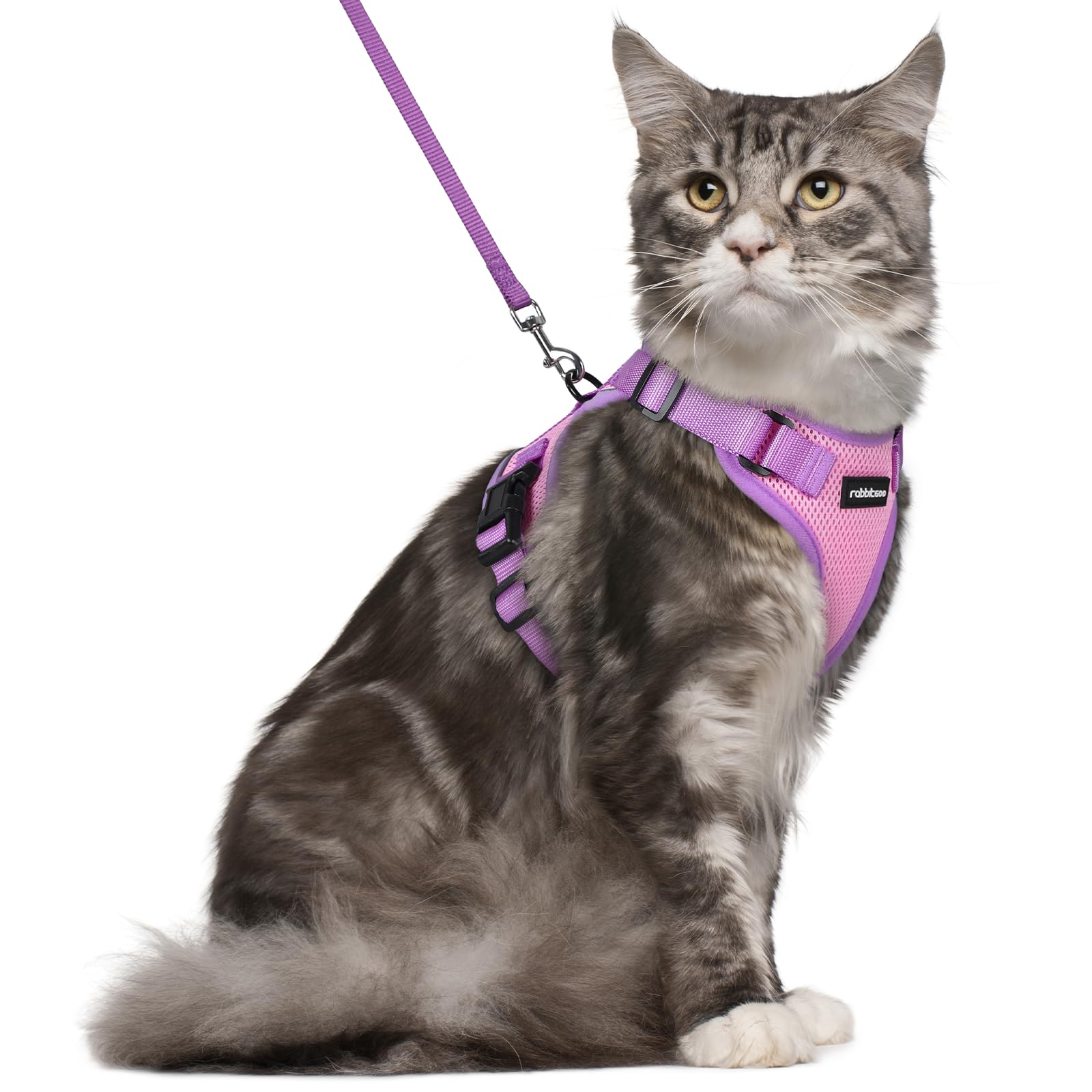 rabbitgoo Cat Harness and Leash Set, Escape Proof Soft Adjustable Vest Harnesses for Outdoor Walking, Easy Control Breathable Kitten Jacket with