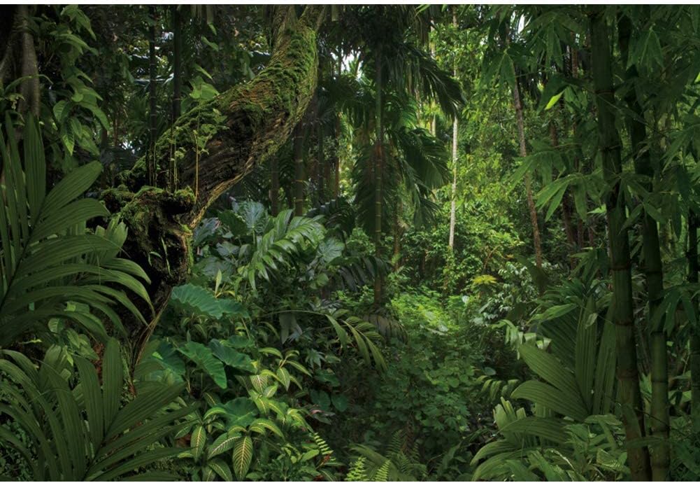 20x10ft Jungle Forest Photography Backdrop for Outdoorsy Camping Theme Party Background Spring Mysterious Rainforest Jungle Forest Tree Natural Scenery Kids Adult Wedding Photo Studio Props
