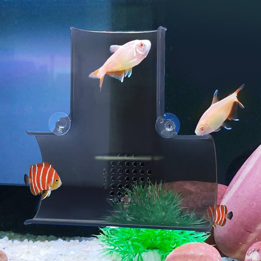 Amazon.co.jp: driamor 水槽 トンネル アクアリウム 隠れ家 エビ 魚