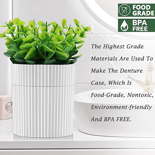 Miniatura 6 de Baño de dentadura, estuche invisible para dentaduras postizas diseñado como plantas artificiales en maceta de eucalipto, copa de dentadura con