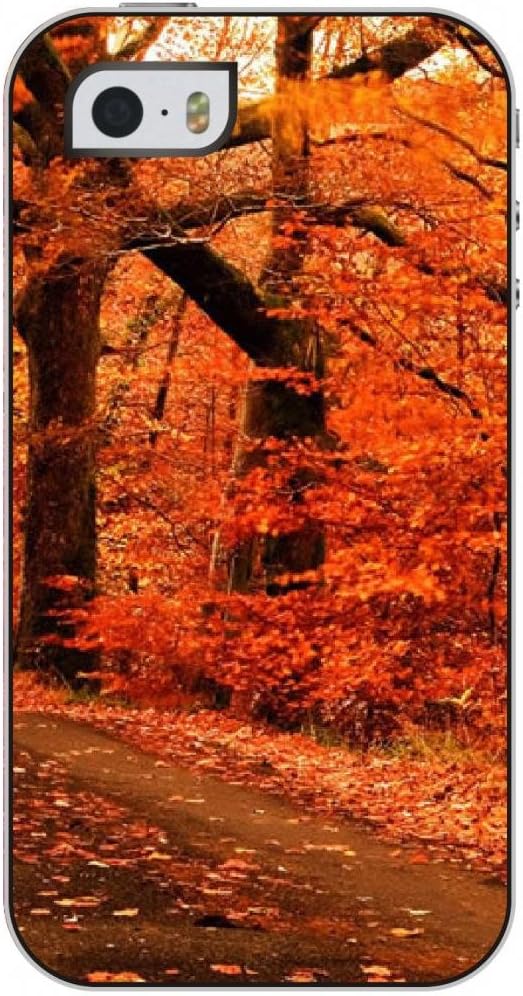 OUO Classy Iphone 5 5s Case with Funny Design of Autumn Tree