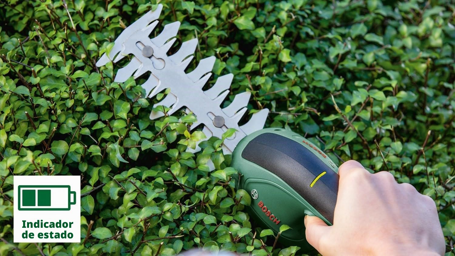 Bosch Tijeras de jardín EasyShear (batería de 3,6 V integrada, tiempo de funcionamiento: 40 min; longitud de cuchilla: 12 cm [setos] / 8 cm [césped], en caja)