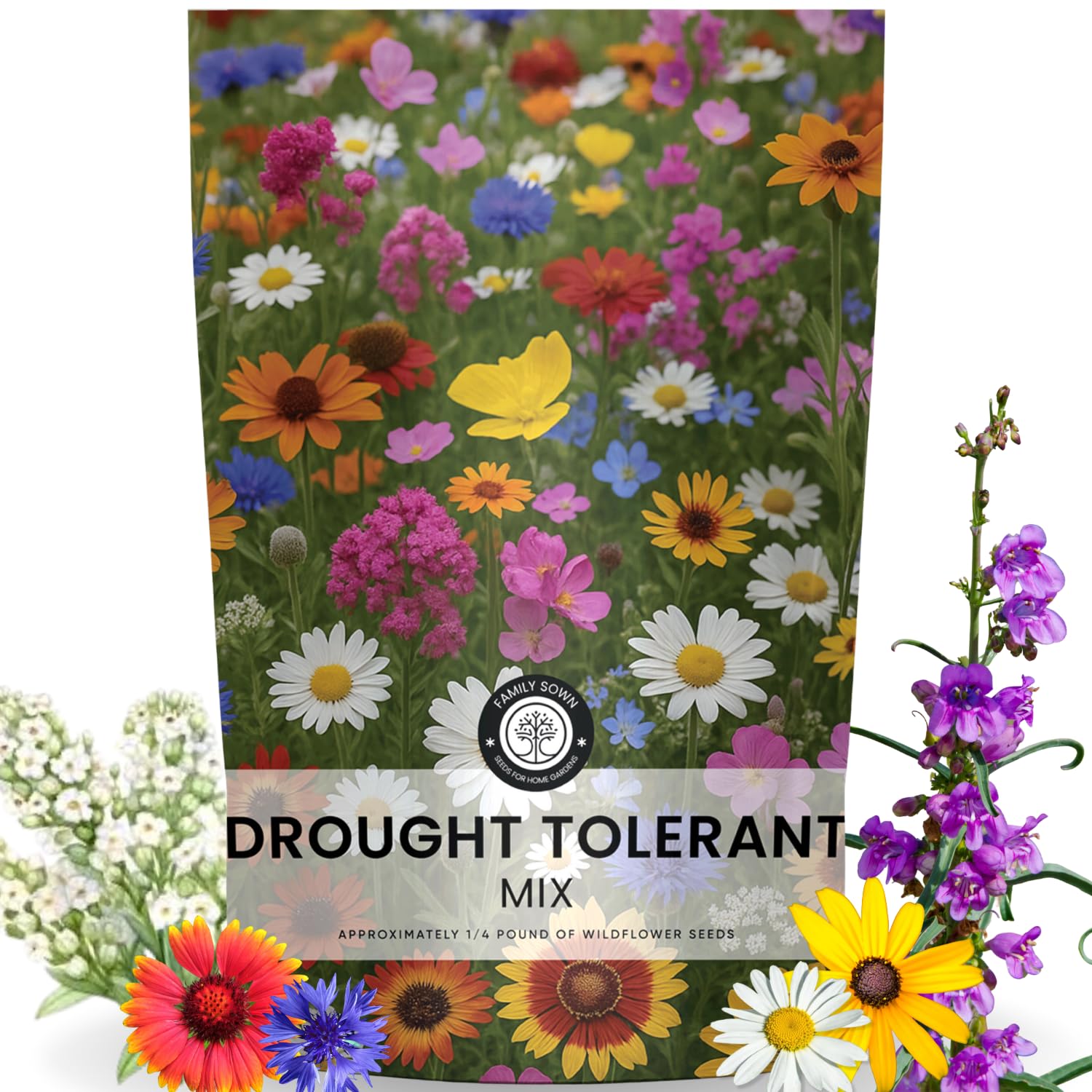 FAMILY SOWN Drought Tolerant Wildflower Mix