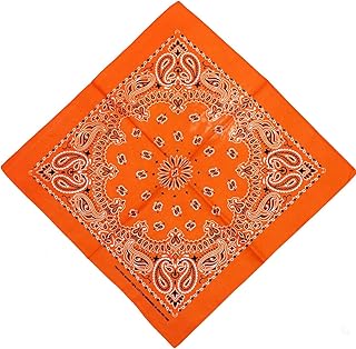 [the largest selection] バンダナ ペイズリー 柄 スタンダード レギュラー 普通サイズ Paisley Bandana 55x55