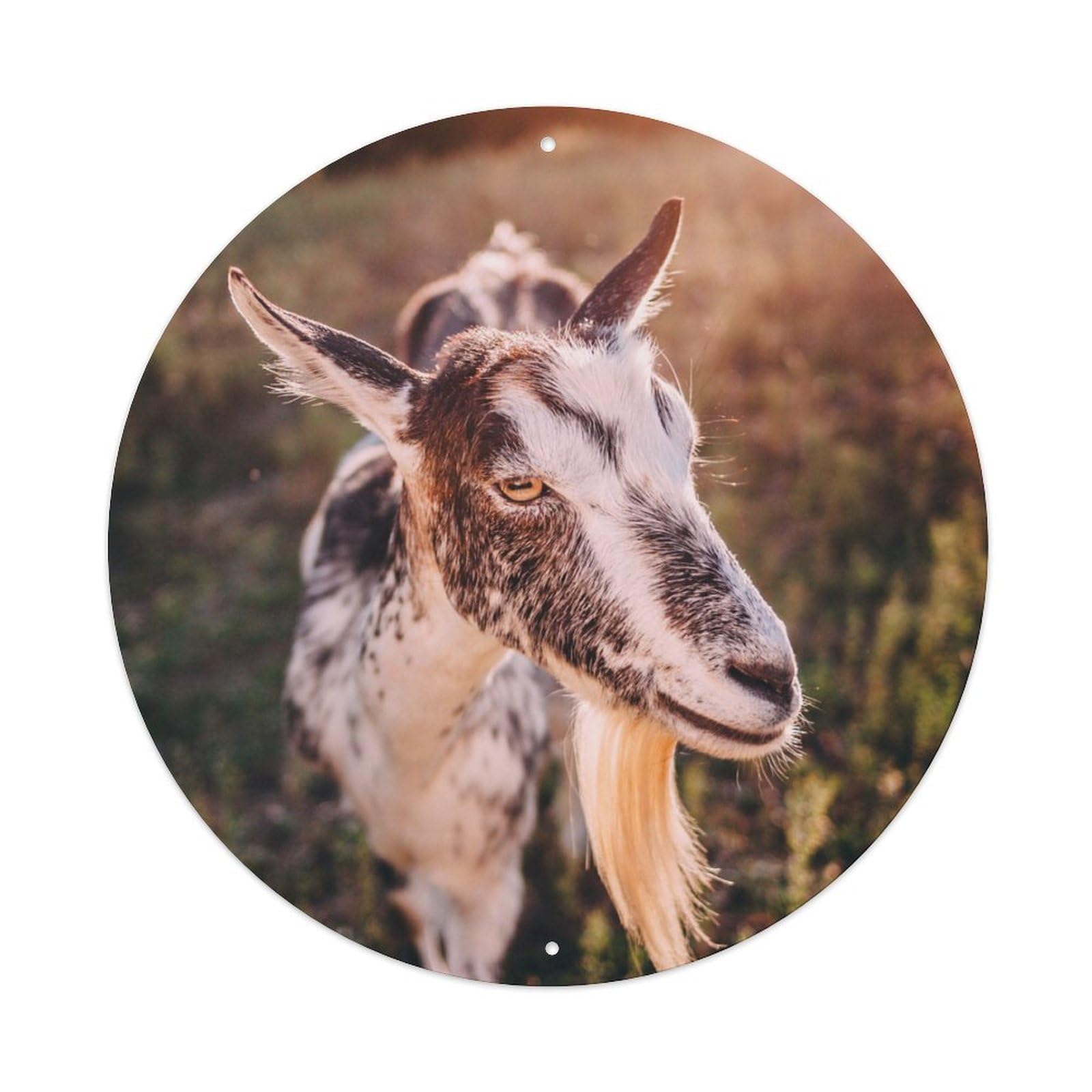 Animal Cute Goat Metal Tin Sign