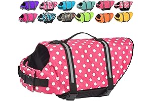 Doglay, a Dog's Best Friend in Water: The Ultimate Pet Life Jacket for Small Dogs