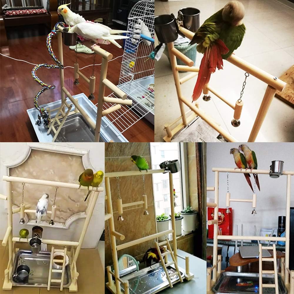 Bird Playground for Conures Cockatiel Parakeets Play Stand Gym Area Large Small Playpen Lift Activity Center Parrot Birdcage Cage Cockatoo Play Natural Wood with Feeder Cups Toys Ladder (Large, Wood) : Pet Supplies